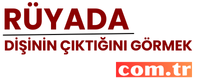 ruyadadisininciktiginigormek.com.tr